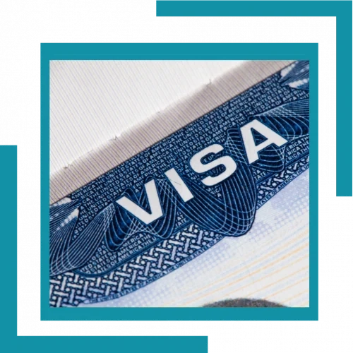 Trending dental care